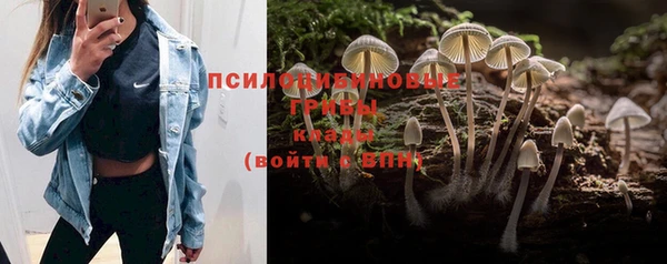 тгк Михайловск