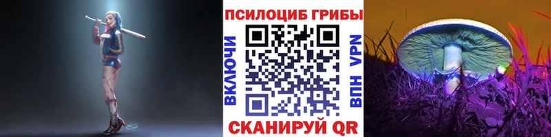 shop наркотические препараты Вихоревка Галлюциногенные грибы Cubensis